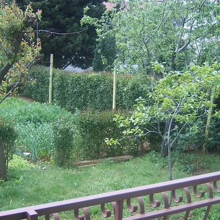 Guest house Zova 3*