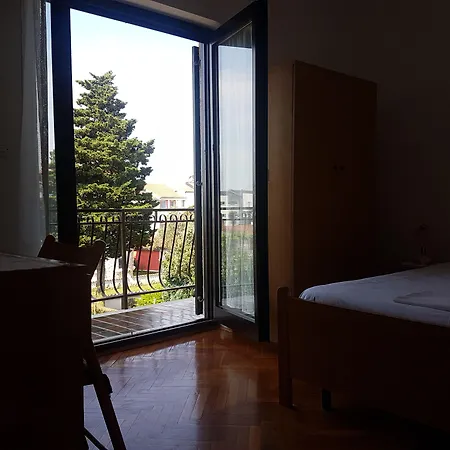 Zova 3*